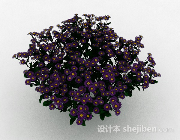 设计本紫色花朵植物花卉3d模型下载