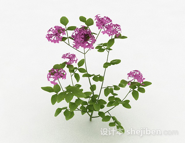 设计本紫色户外花卉植物3d模型下载