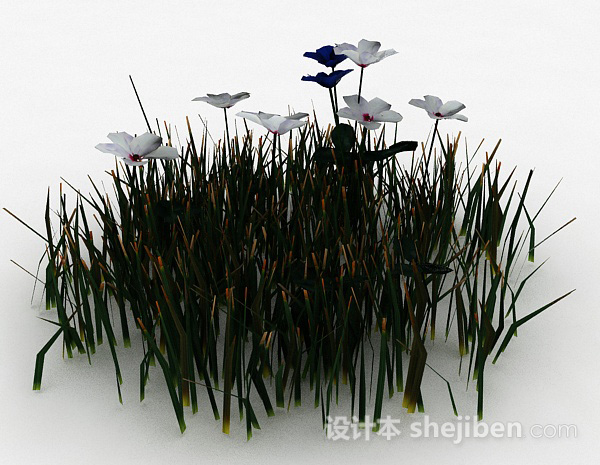 其它蓝白色花朵花丛3d模型下载