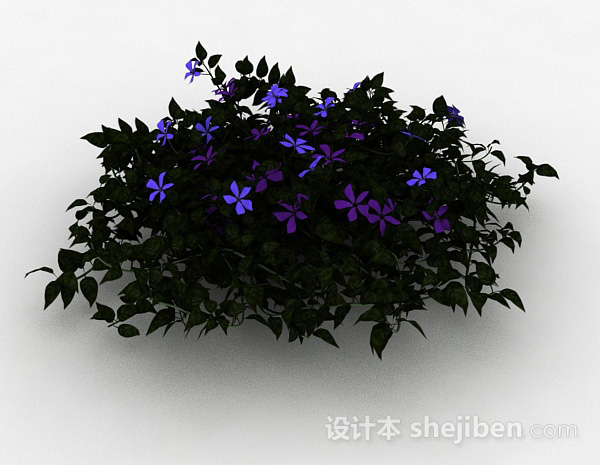 免费紫色铁线莲观赏花卉3d模型下载