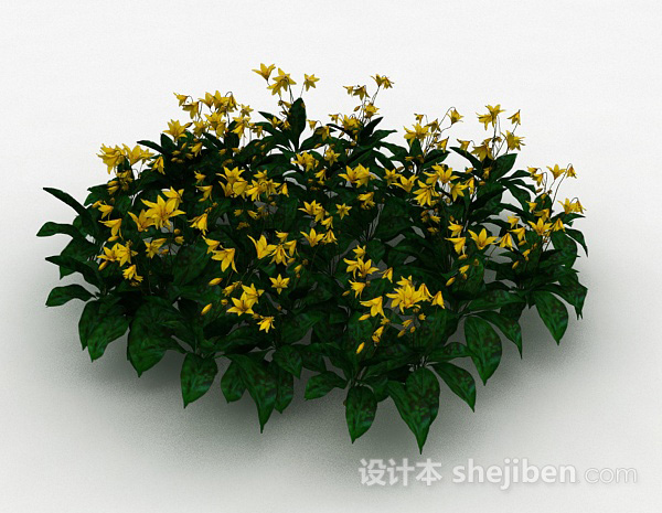 其它黄花观赏植物3d模型下载