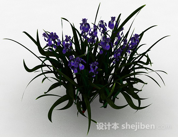 设计本园林装饰型紫色花卉3d模型下载