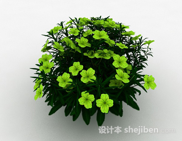 其它绿色花朵绿植3d模型下载