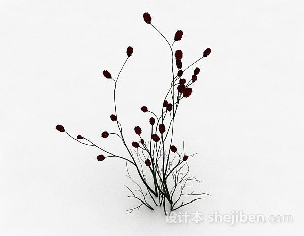 无叶植物花卉3d模型下载