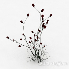 无叶植物花卉3d模型下载