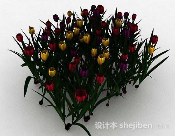 设计本多色花朵观赏植物3d模型下载