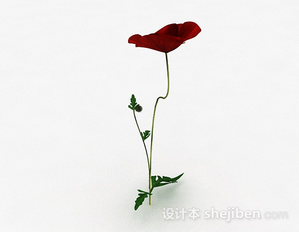 其它红色花卉植物3d模型下载