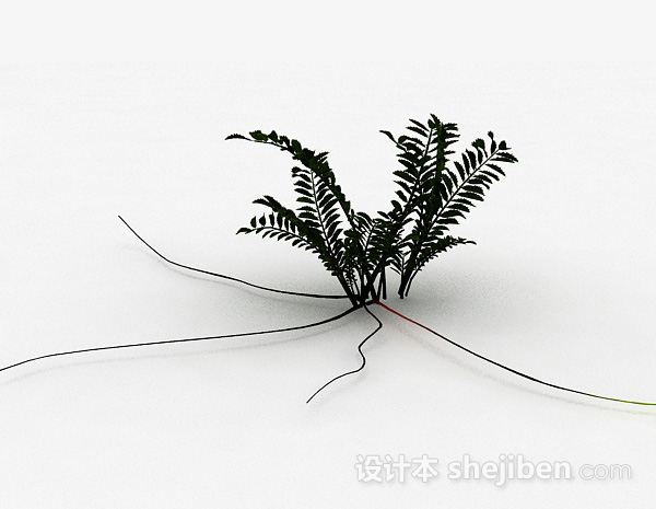 蕨类植物3d模型下载