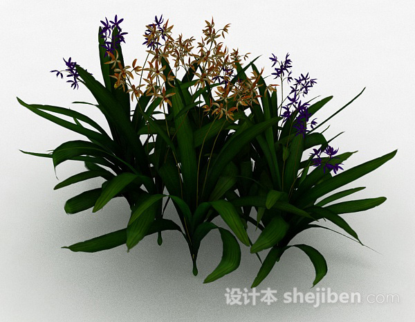 其它公园多色观赏型花卉植物3d模型下载
