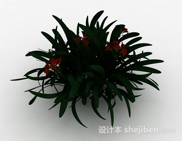 其它红色小花观赏植物3d模型下载