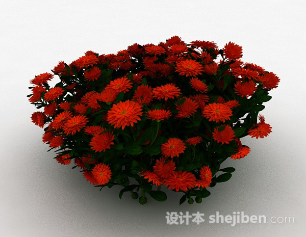 其它红色雏菊观赏花卉3d模型下载