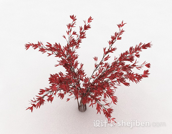 其它红色树叶观赏植物3d模型下载