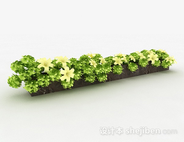 免费米白色花朵观赏植物3d模型下载
