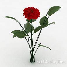 红色室外花卉植物3d模型下载