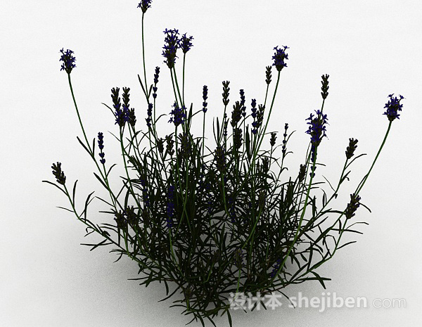 免费紫色花朵草丛3d模型下载