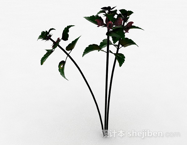 其它室外绿色花卉3d模型下载