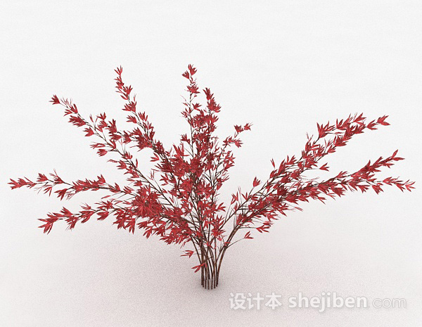 其它观赏型红色树叶植物3d模型下载