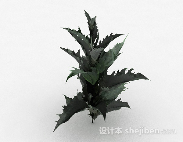 其它带刺叶子植物3d模型下载