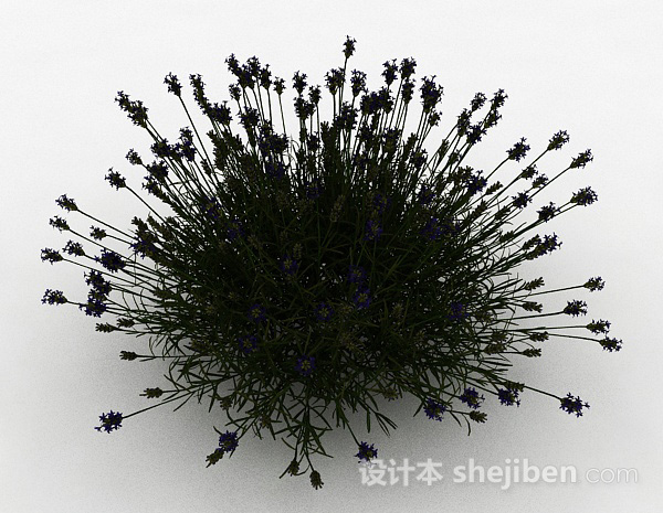 免费紫色花朵草丛3d模型下载