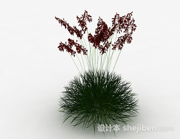 设计本红色草穗植物3d模型下载