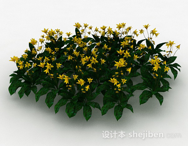设计本黄花观赏植物3d模型下载