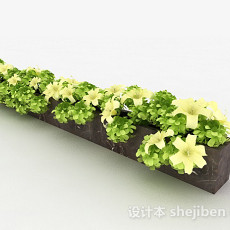 米白色花朵观赏植物3d模型下载