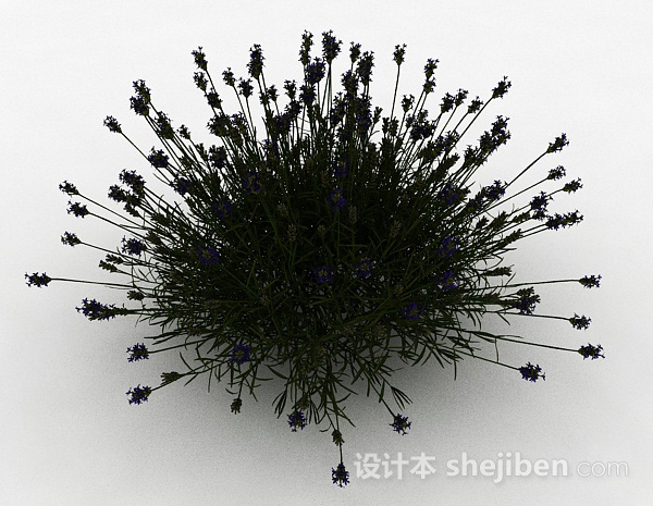 设计本紫色花朵草丛3d模型下载