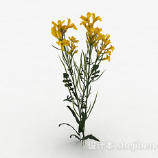 黄色花朵植物3d模型下载
