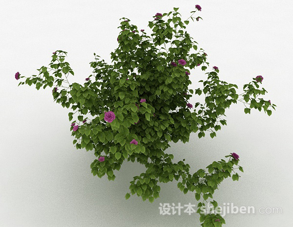 室外紫色花卉植物3d模型下载