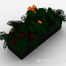 花卉盆栽3d模型下载
