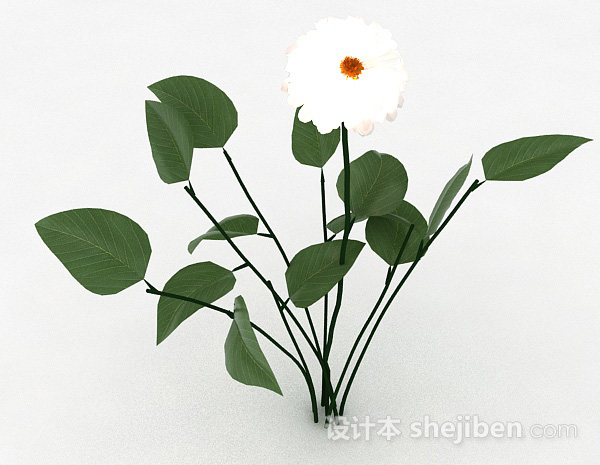 设计本白色室外花卉植物3d模型下载