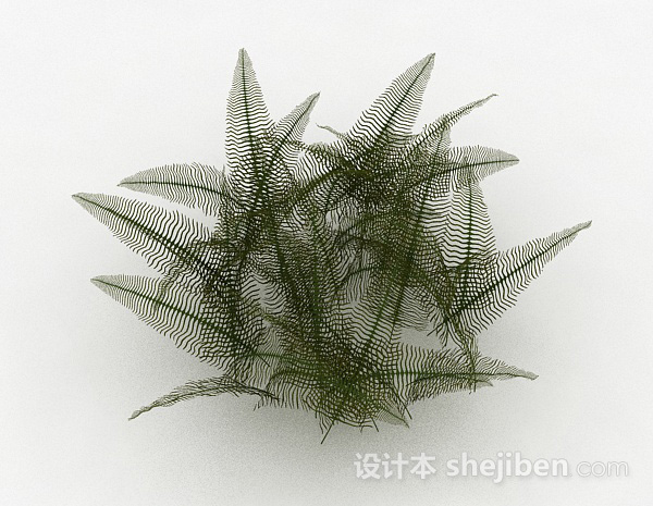 设计本细叶蕨科类植物3d模型下载