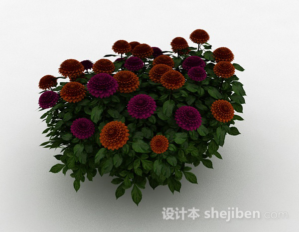 双色雏菊植物3d模型下载