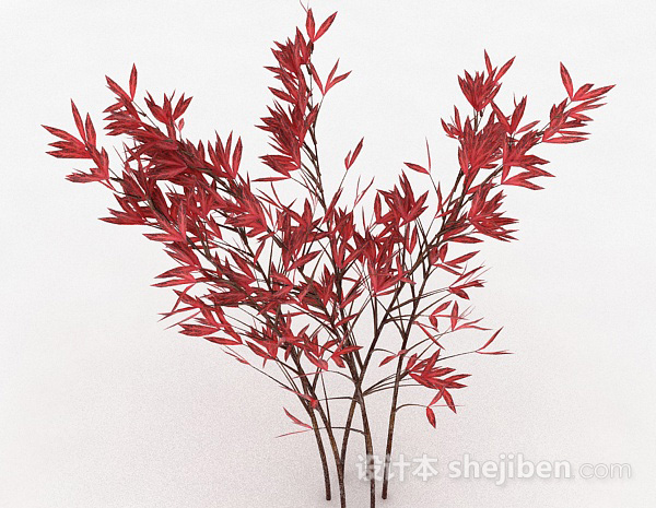 免费观赏型红色树叶植物3d模型下载