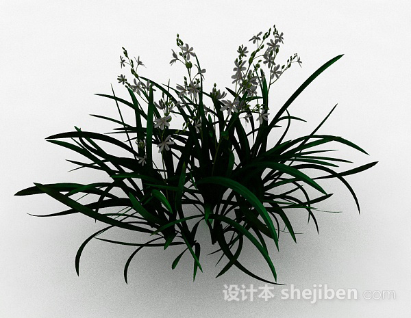 设计本白色小花装饰花卉3d模型下载