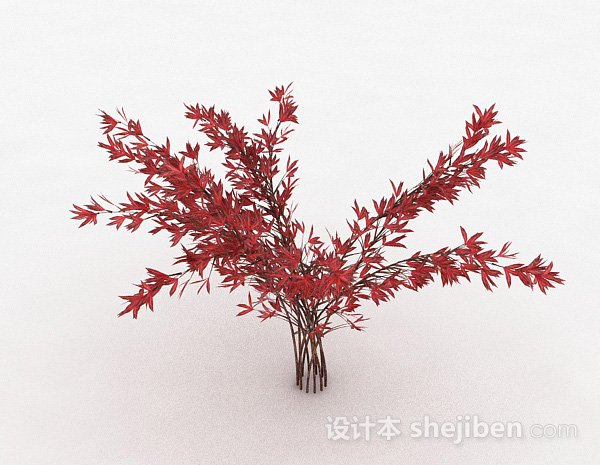红色树叶观赏型植物3d模型下载