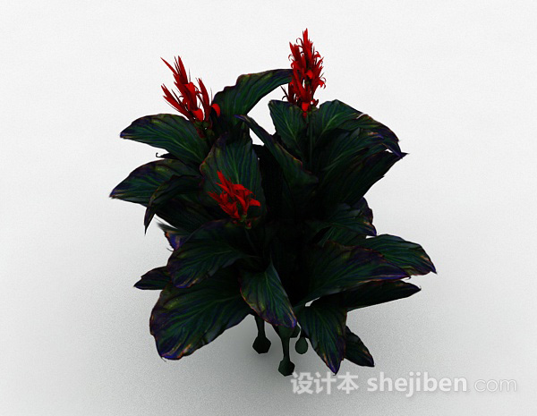 设计本红花绿叶观赏型花卉3d模型下载