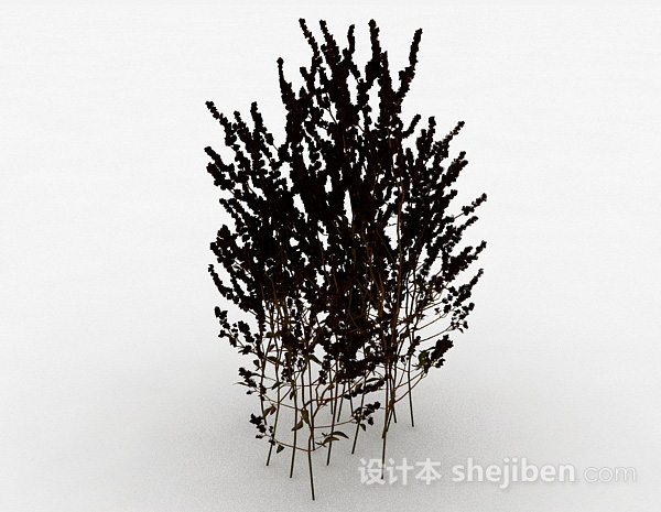 其它室外黑色植物3d模型下载