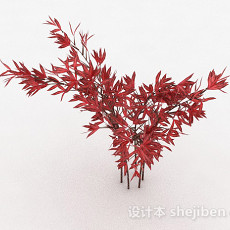 观赏型红色树叶植物3d模型下载