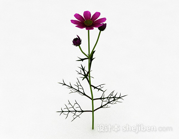 其它荆棘类紫色花朵3d模型下载