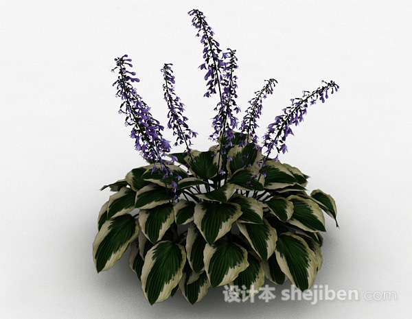 免费室内观赏型盆栽3d模型下载