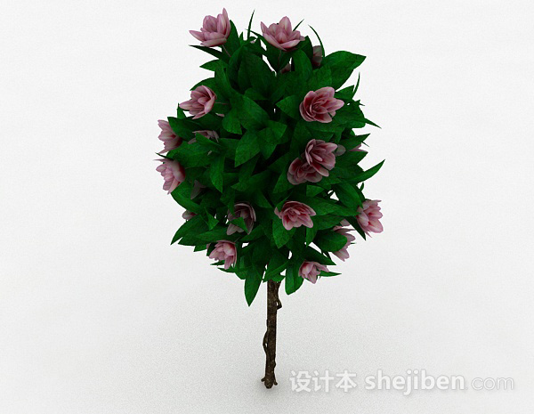 免费室外植物花卉3d模型下载
