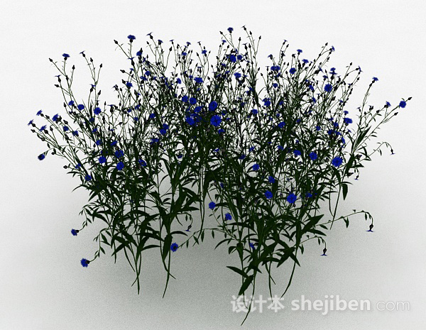 设计本公园观赏型蓝色花朵花卉3d模型下载
