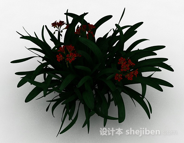 设计本红色小花观赏植物3d模型下载