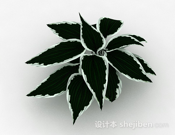 设计本绿底白边叶子植物3d模型下载