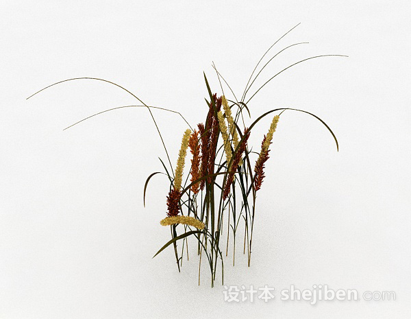棕色茅草植物3d模型下载