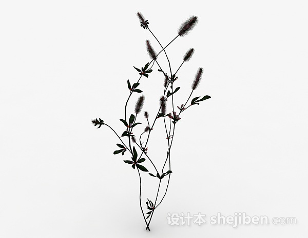 设计本藤条状草丛植物3d模型下载