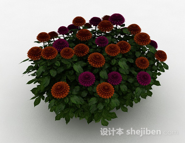 设计本双色雏菊植物3d模型下载