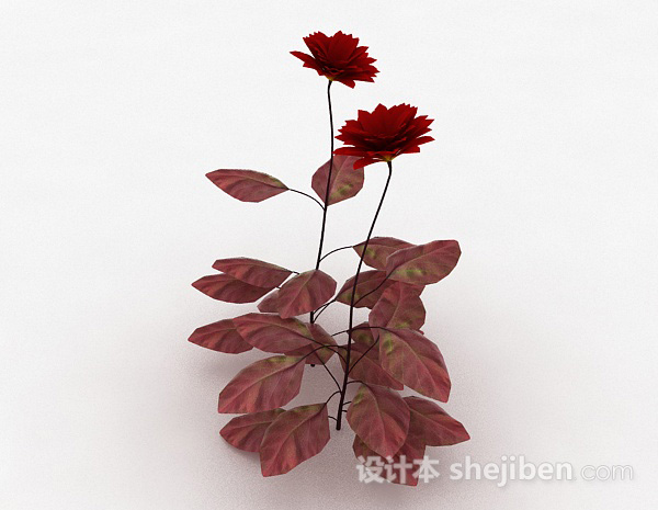免费红色花朵3d模型下载