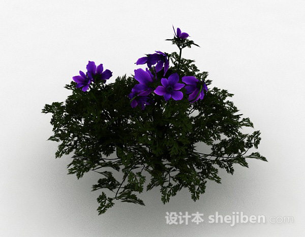 设计本紫色花朵观赏型花卉3d模型下载